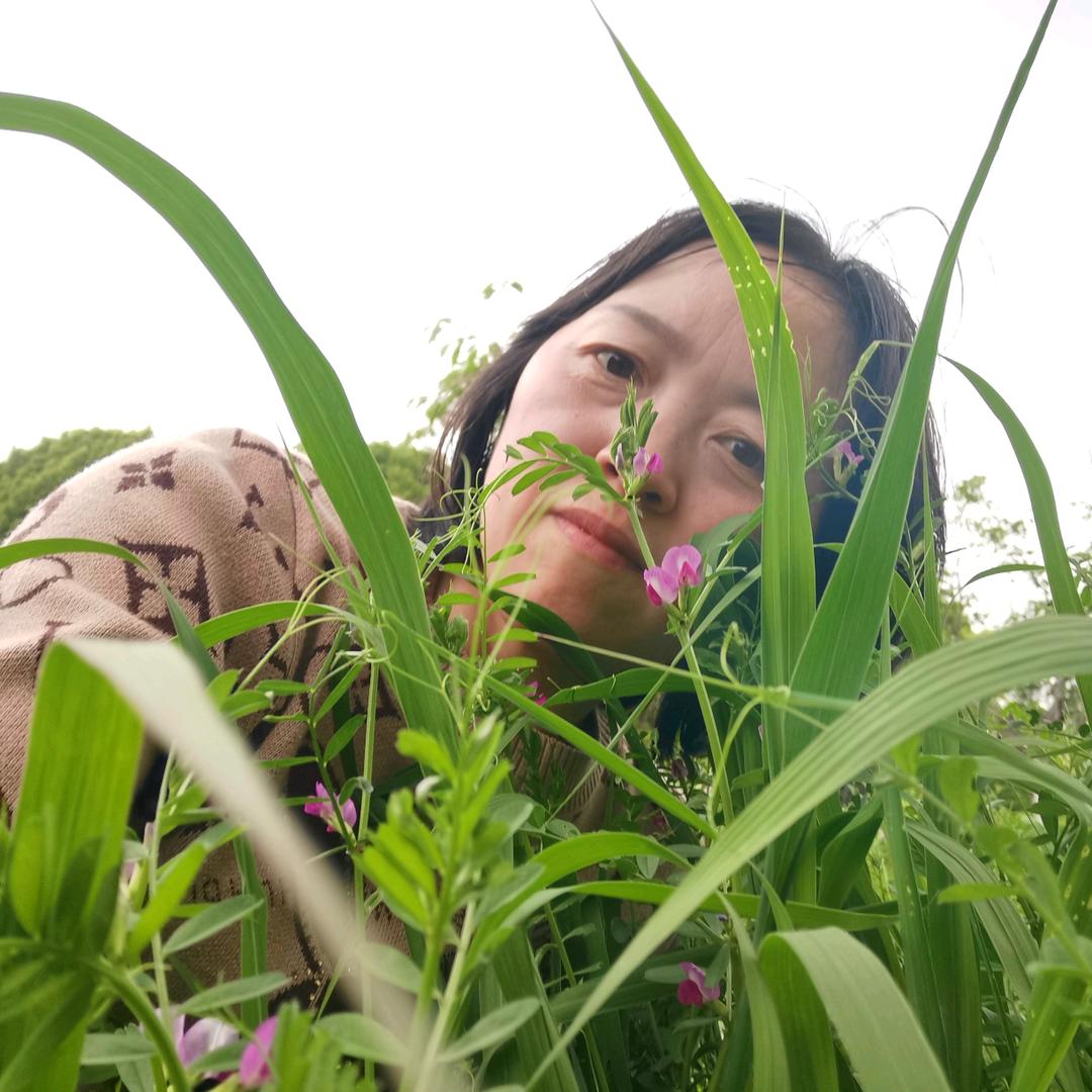 吴家二姑娘
