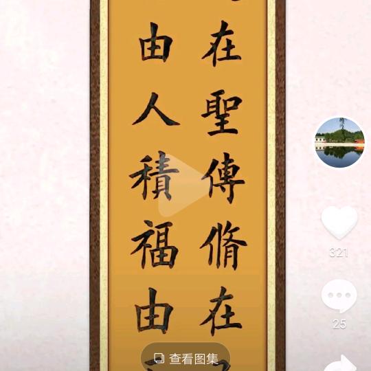 胖大海