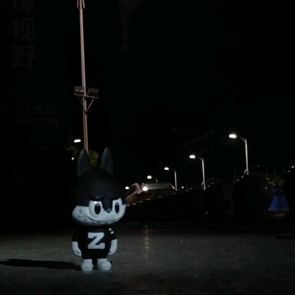 爱你孤身走暗巷.