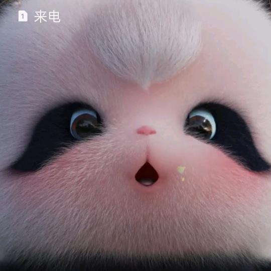 四眼妹——饲养员