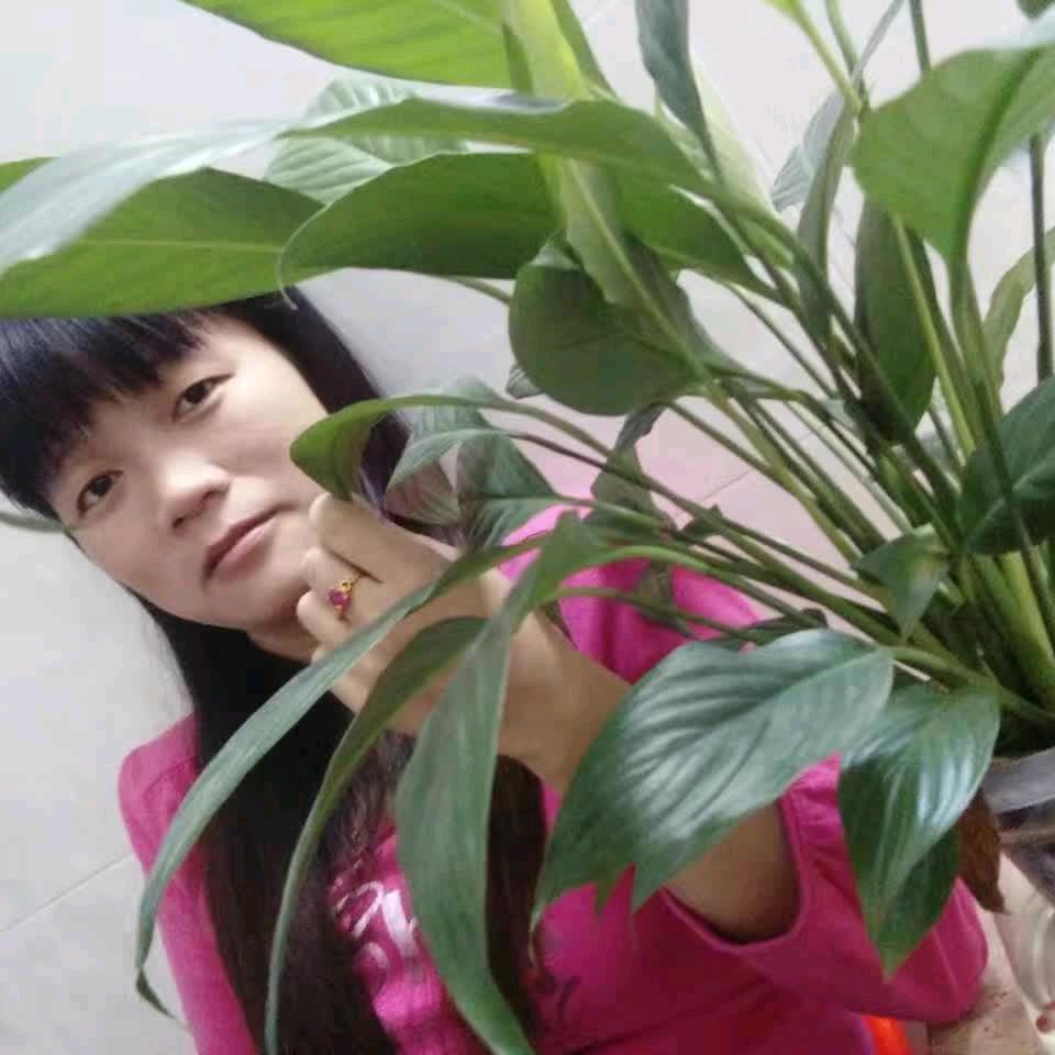 @梅州腌面，不定时直播