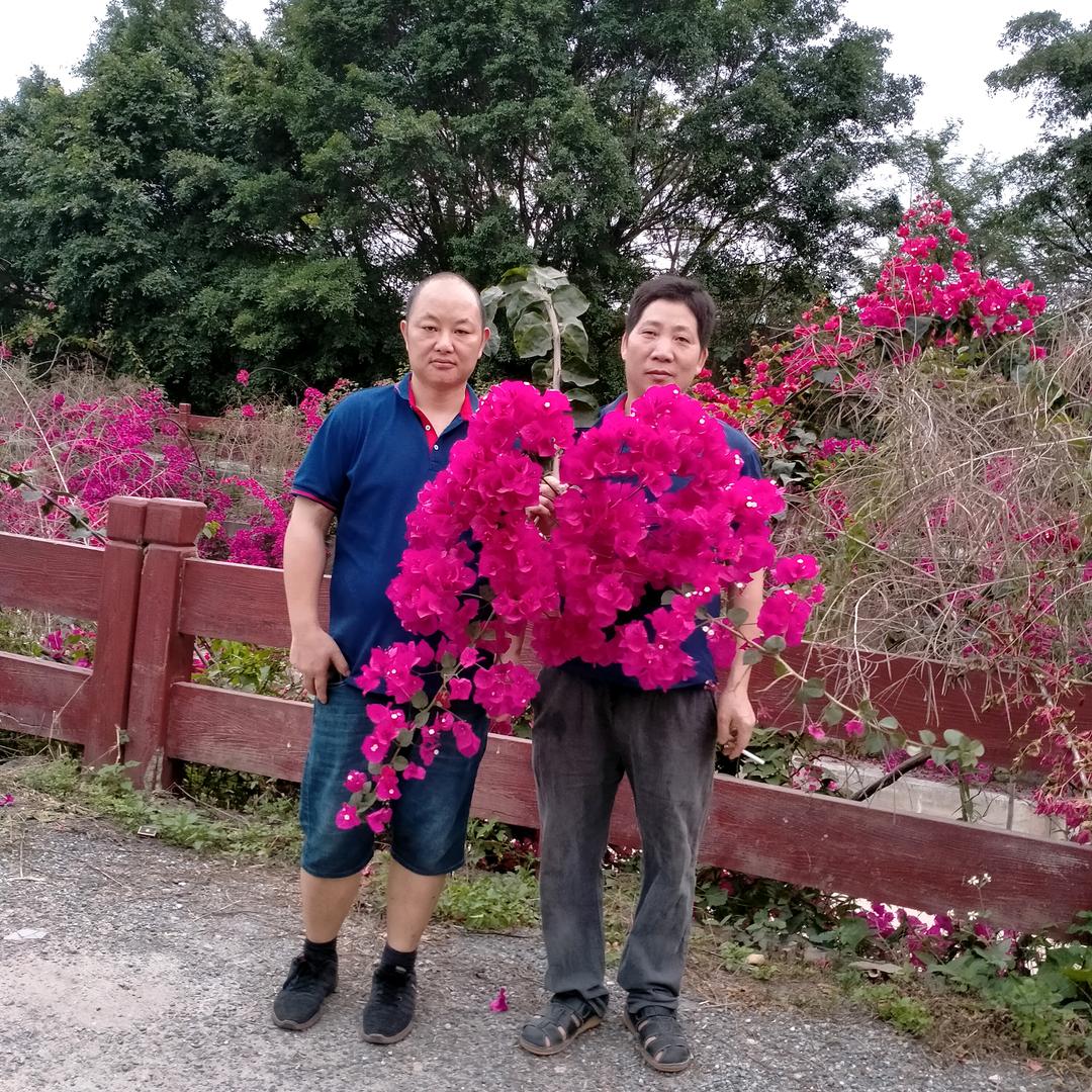 我在美丽的山城