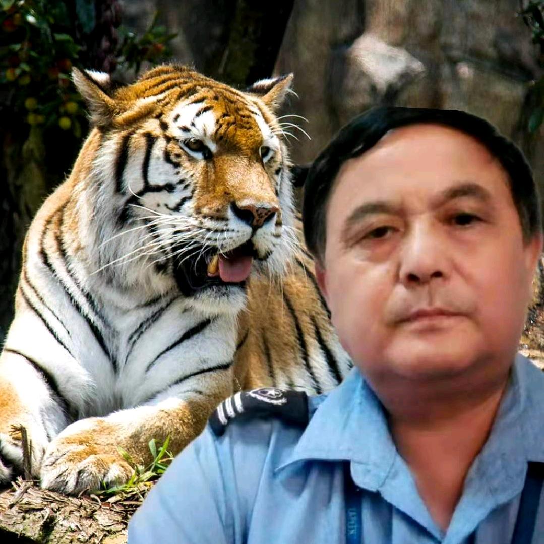 爱普丰大佬专用