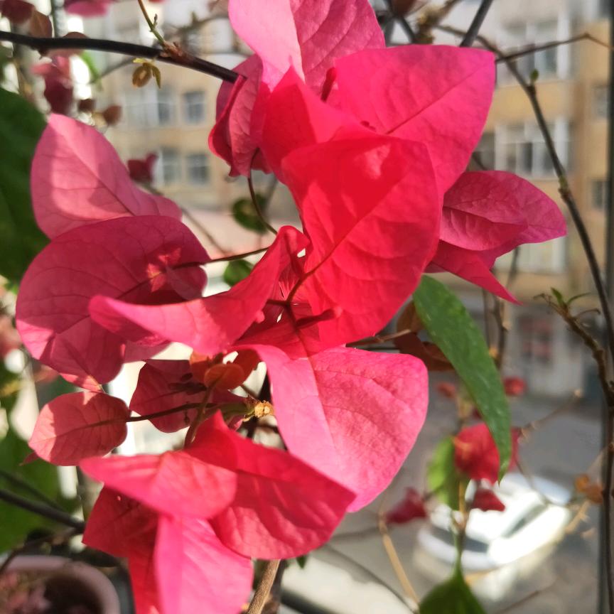 悠悠好物