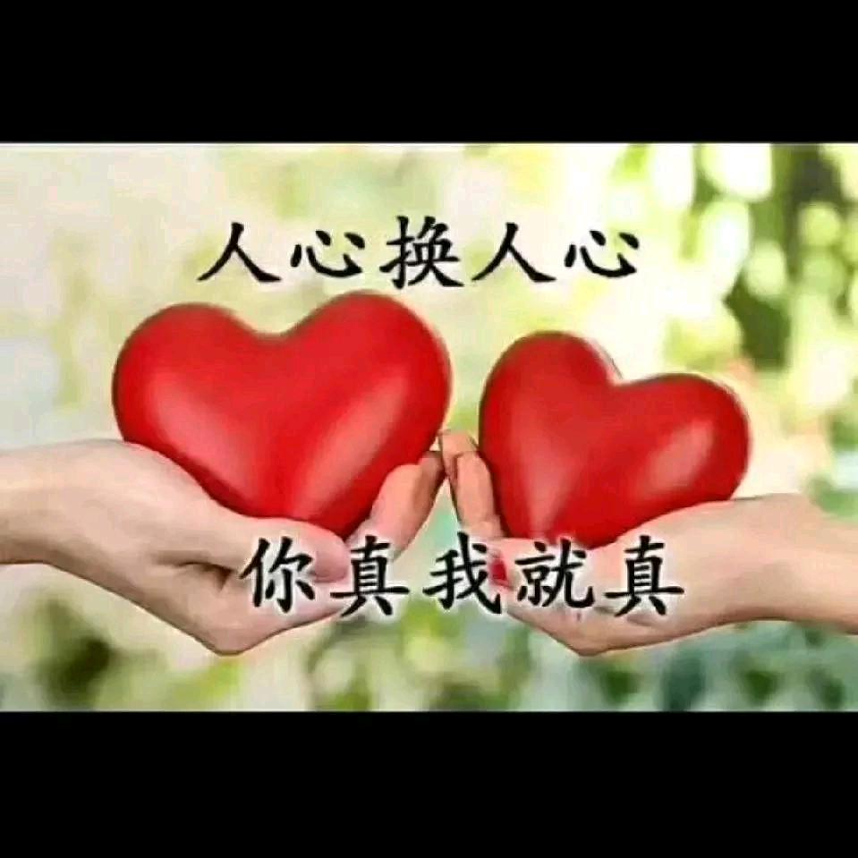冰封的心