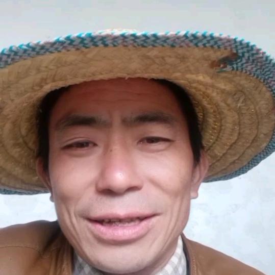 贵州大方(刘)