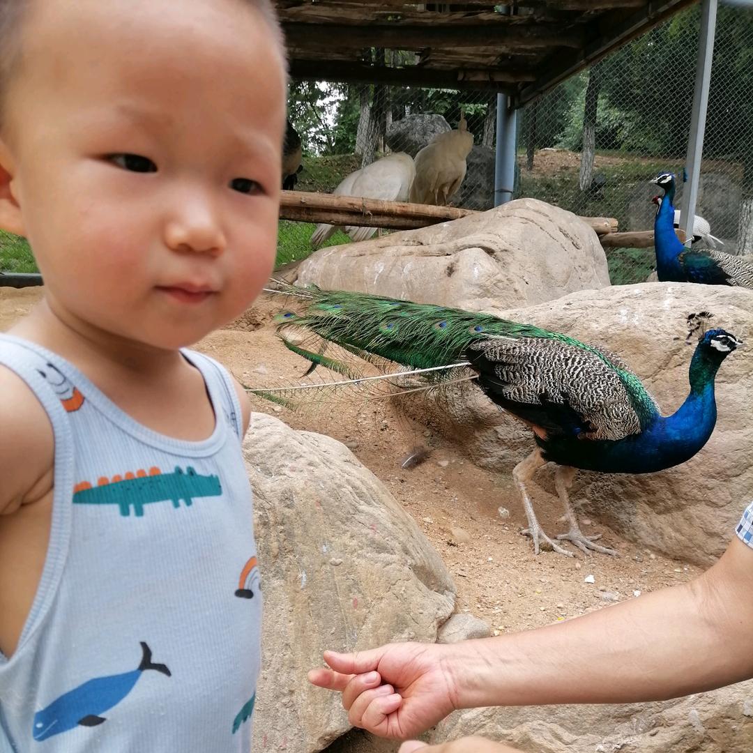 王秀