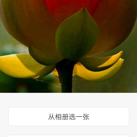 好来运转