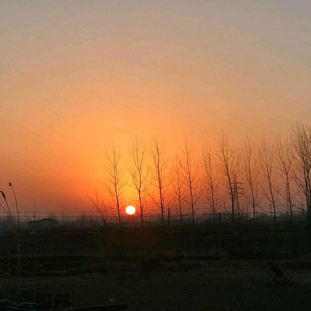 爱游泳的小同学