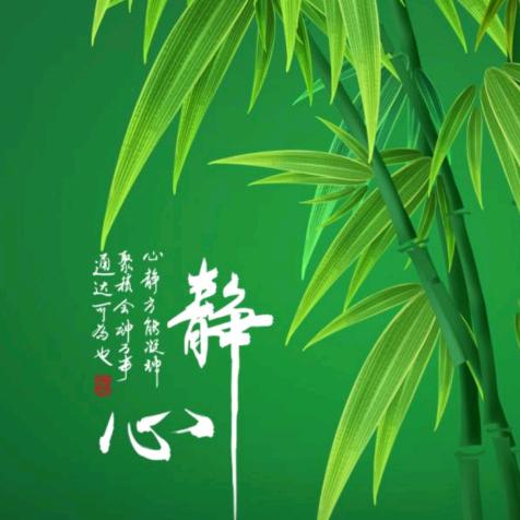 独🍺醉☀️