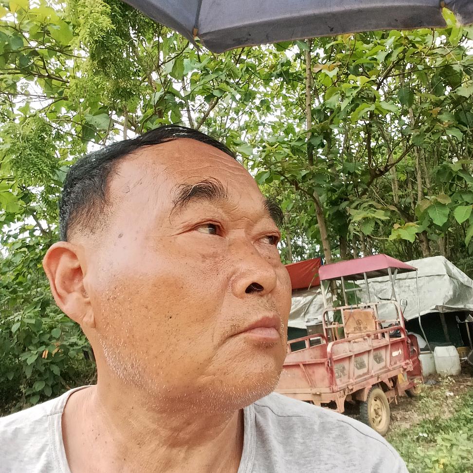 蜜蜂伴我度人生