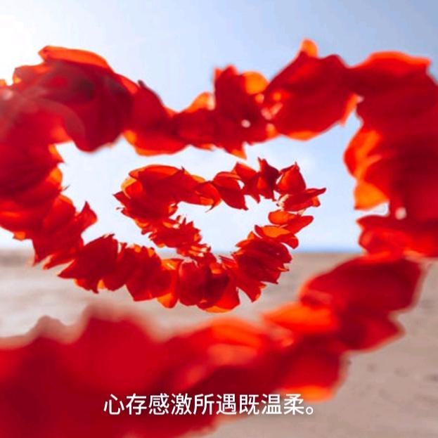 善良与美