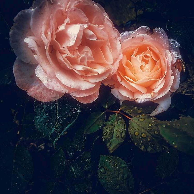 青山绿水？？？