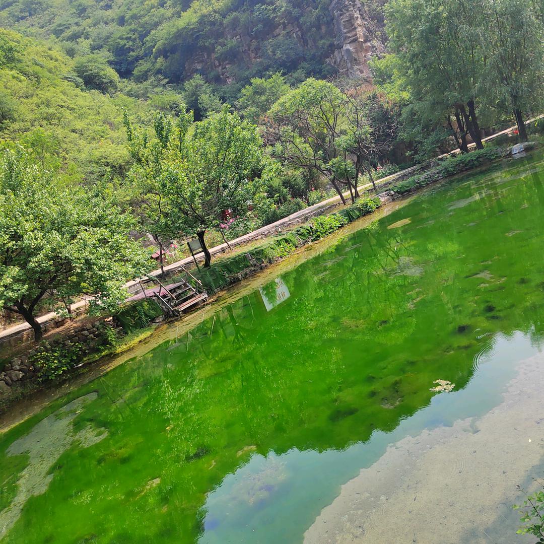 新乐海森包装公司