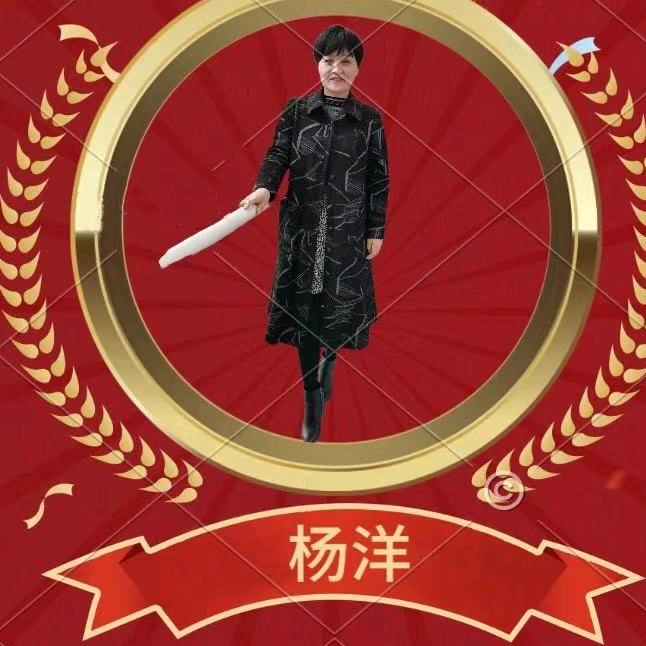 杨洋洋