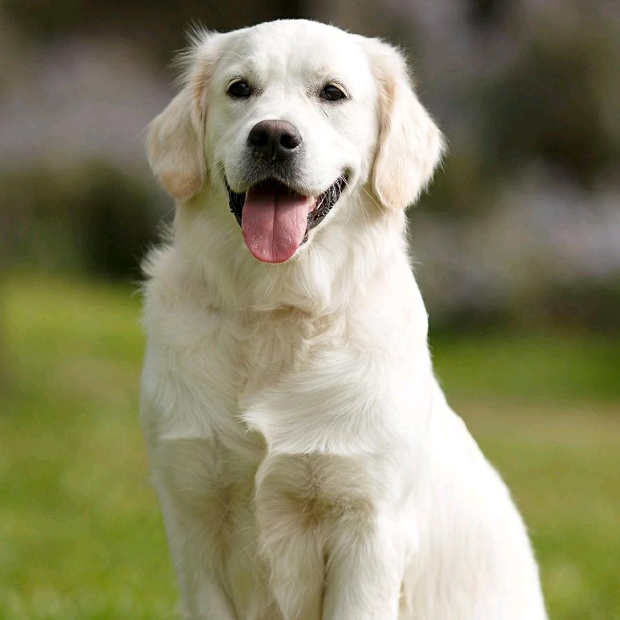 ①嗰魜ｄě贳魪