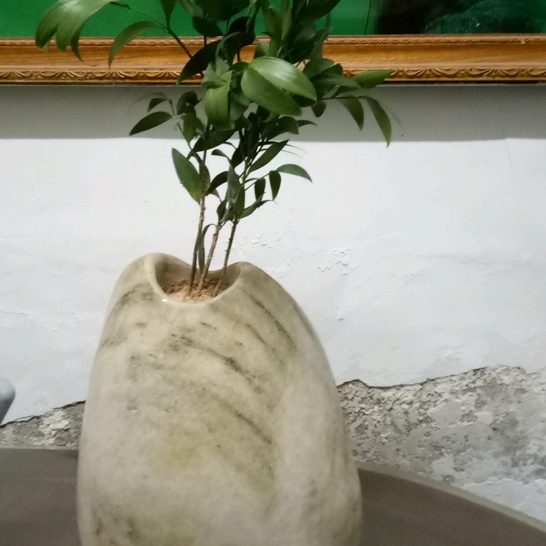 用户5874305404054