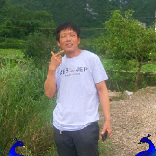 春夏秋冬《手机剪映》