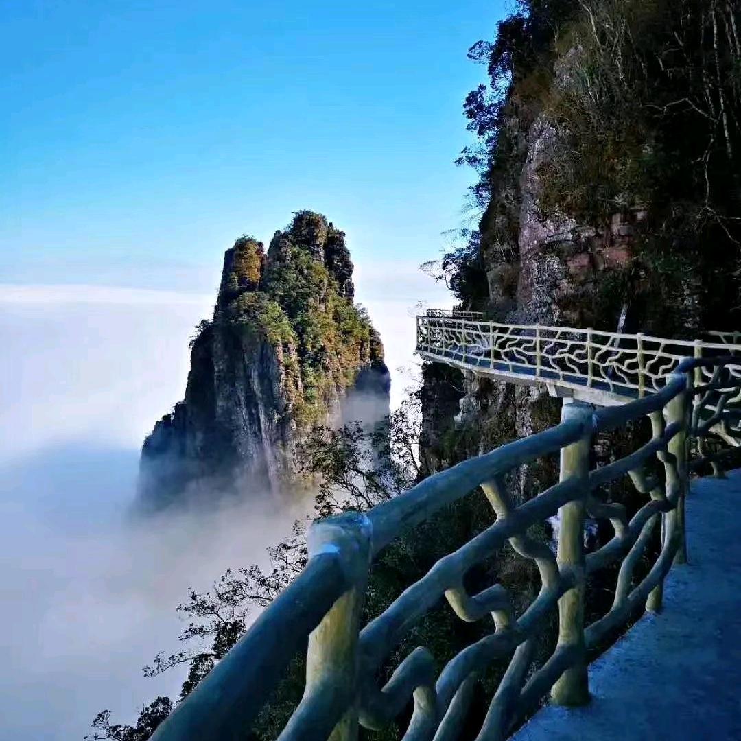 莫烦恼