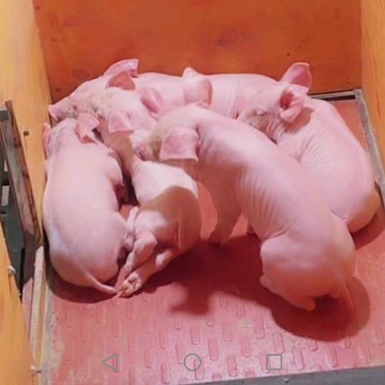 傲思卡阿浩家美丽💞