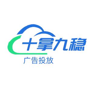 十拿九稳网络科技