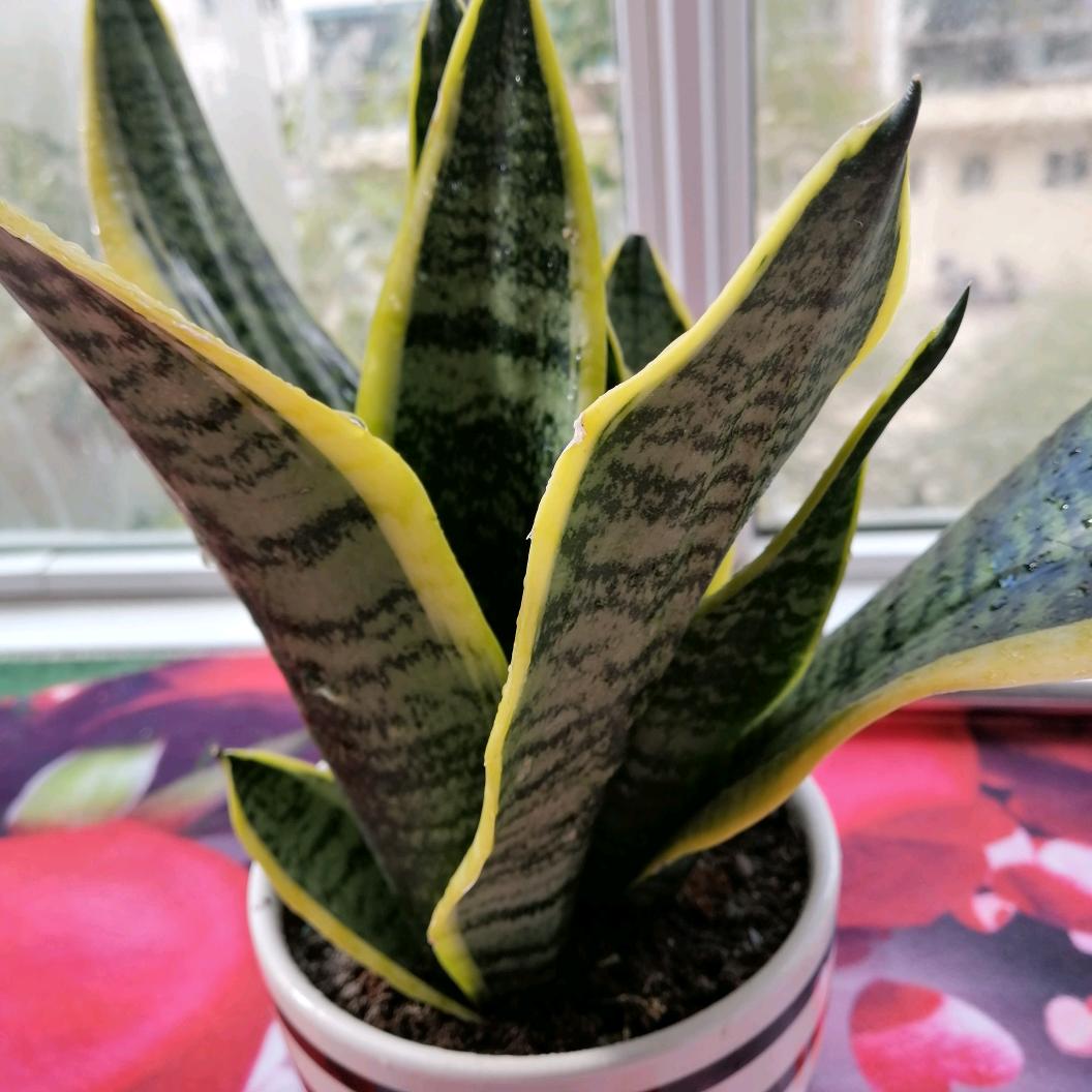 牵挂