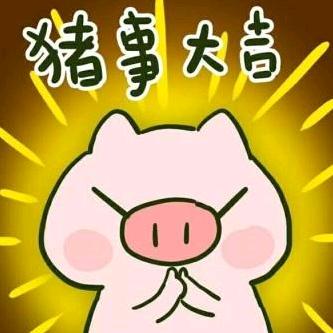 小李养猪技术服务