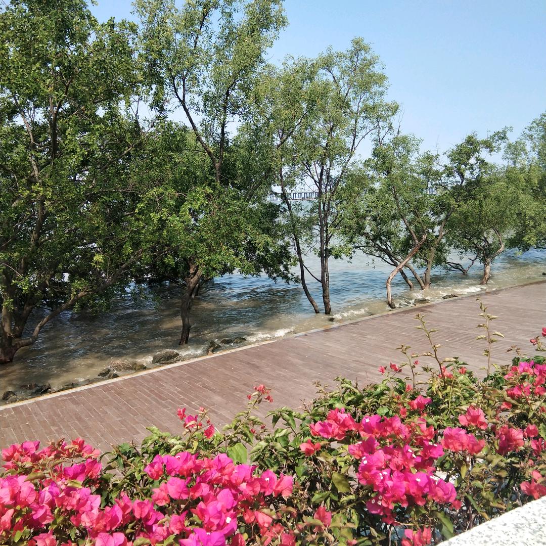 家和万事兴7553656876935