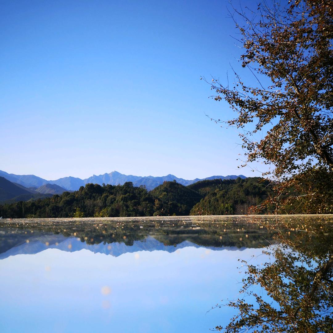 ༄孤芳自赏ꦿོ࿐