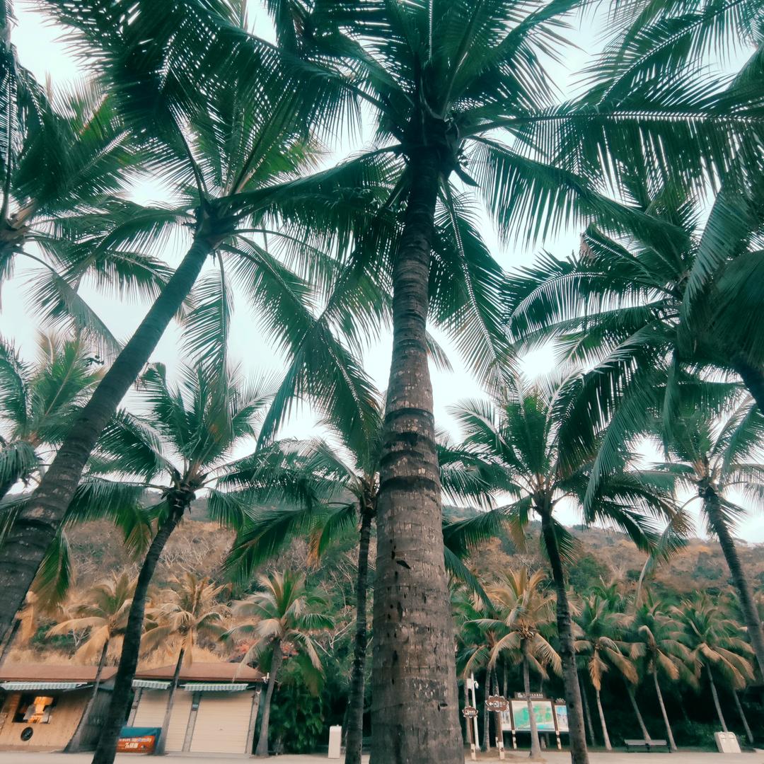 🌈就哲样疯