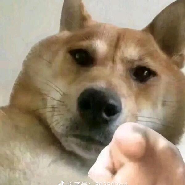 2735