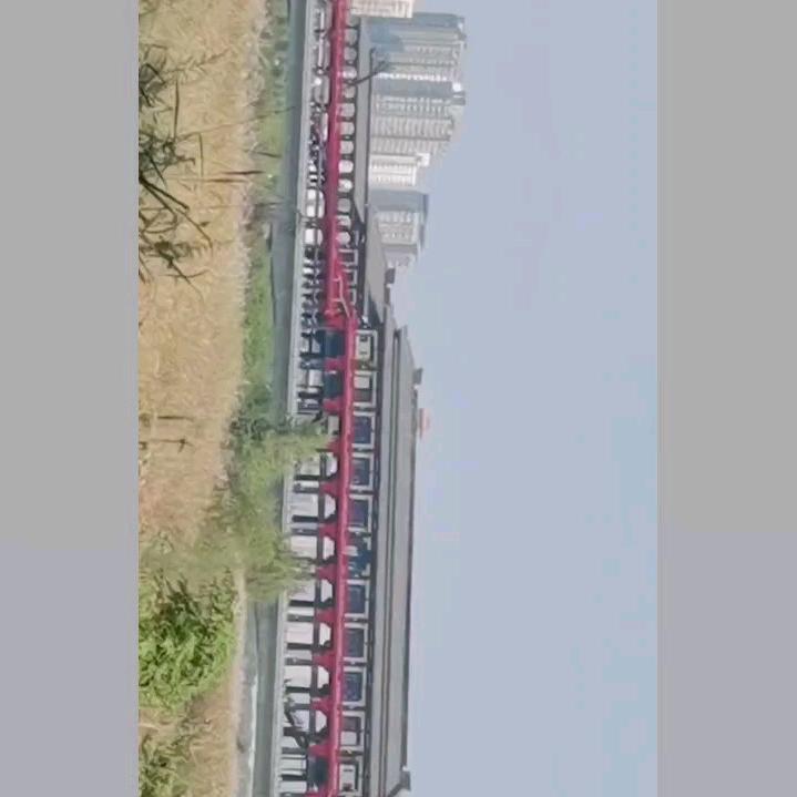 自由飞翔