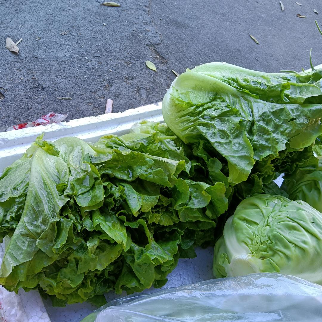 卖菜妹首播晚上5点40分）