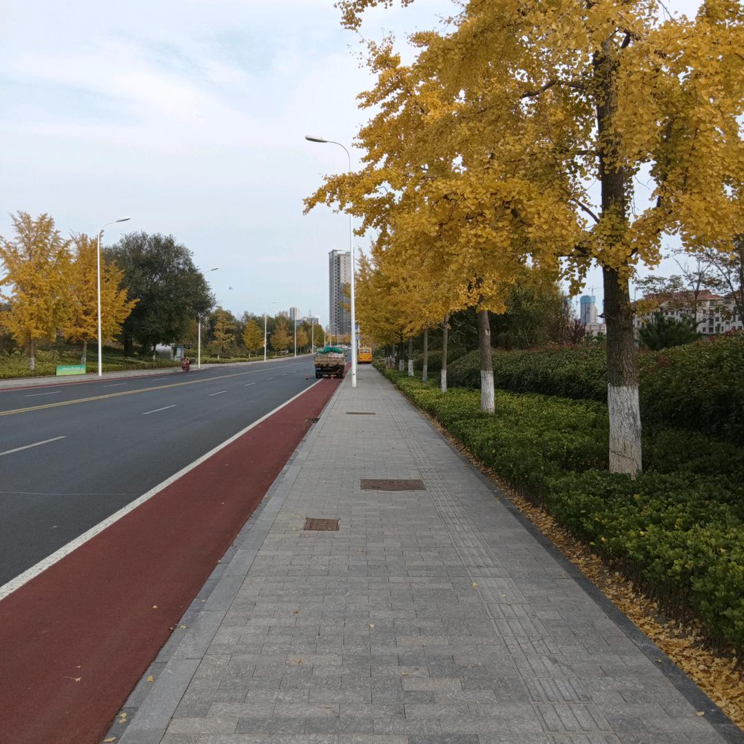 路