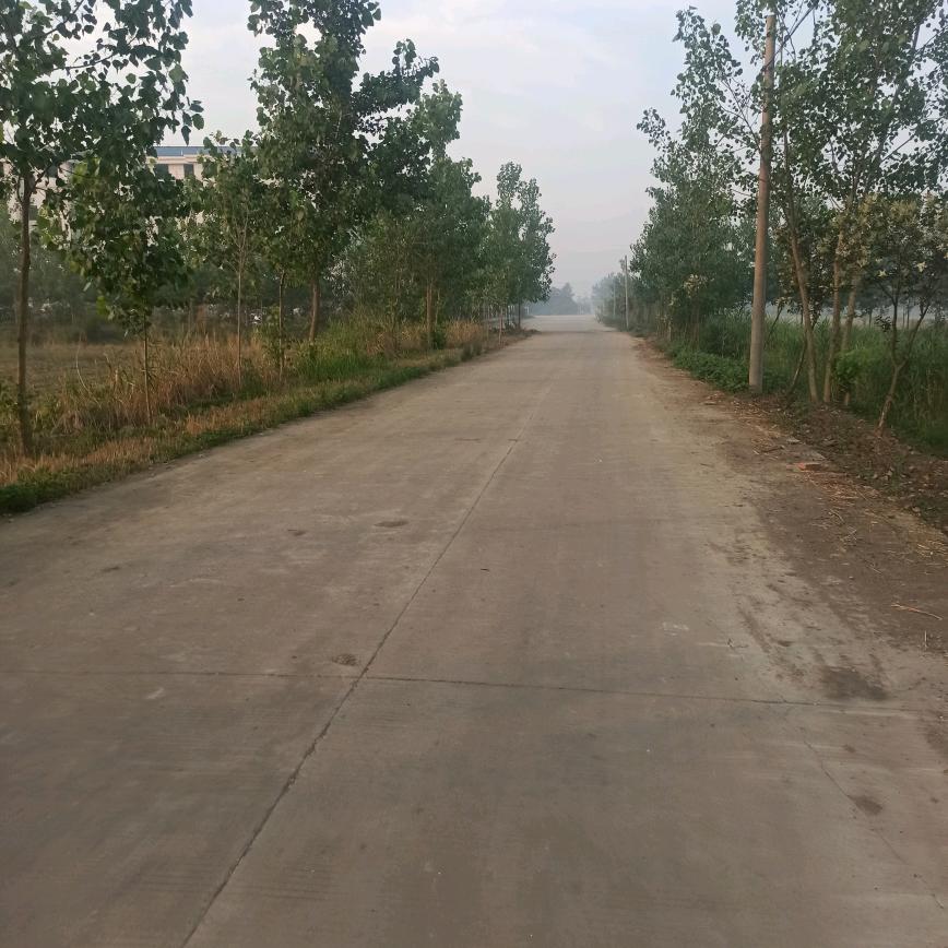 李连波