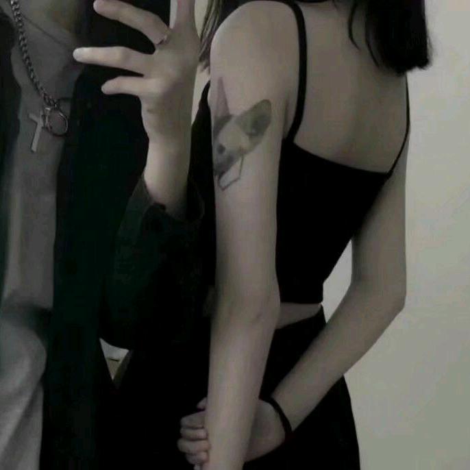 兔兔吃肉