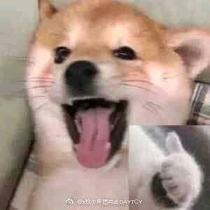 老黄cc