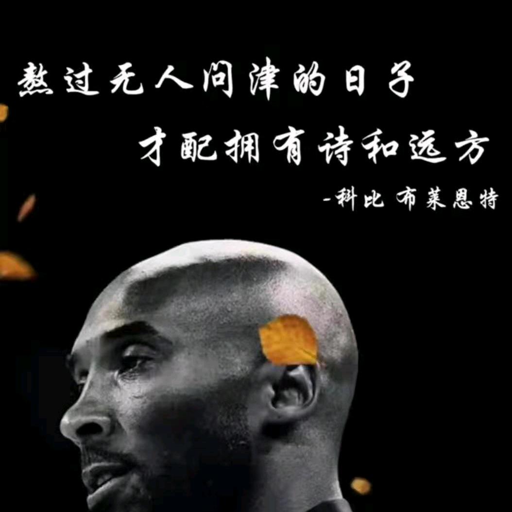 🌈 点哥