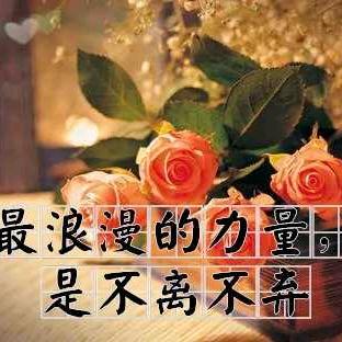 永不言败