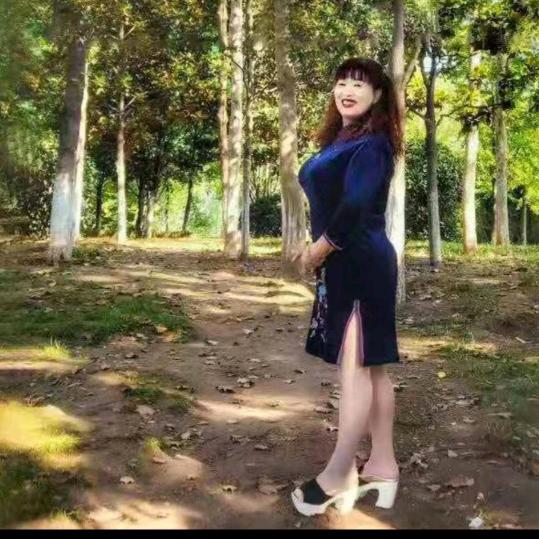 映雪梅花