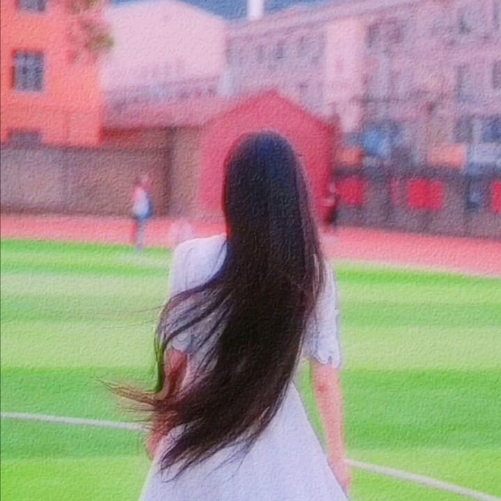 福星龙龙
