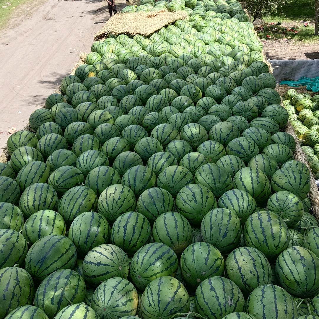 大龙《不忘初心》