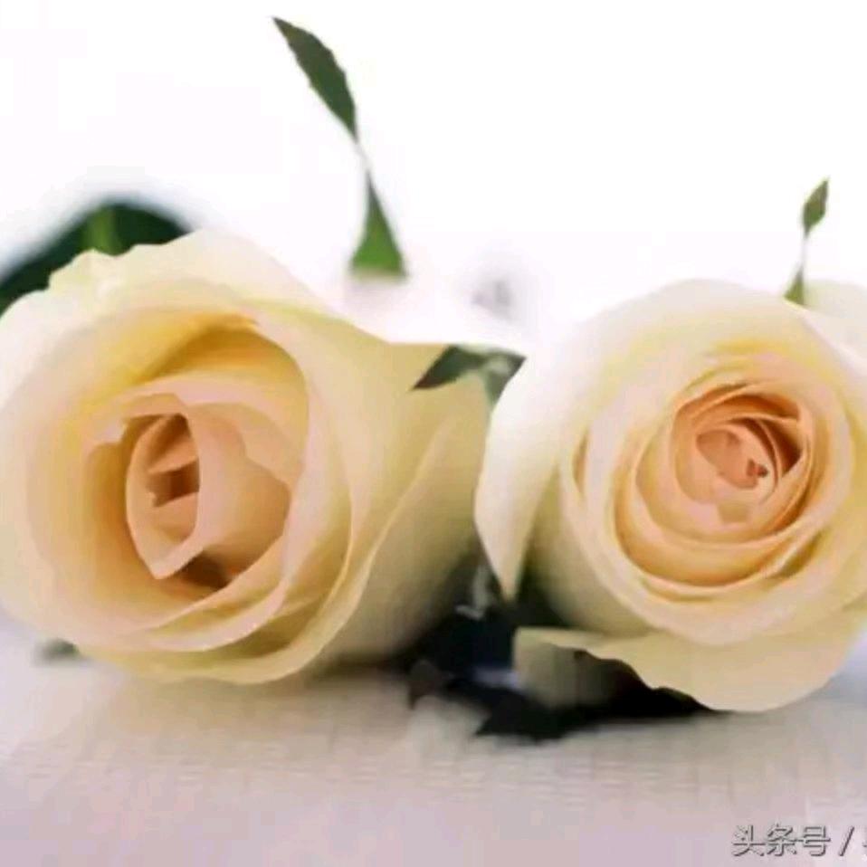 沉默