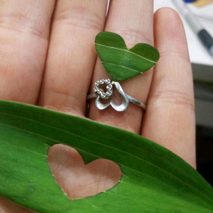 ☘️晴天🍀