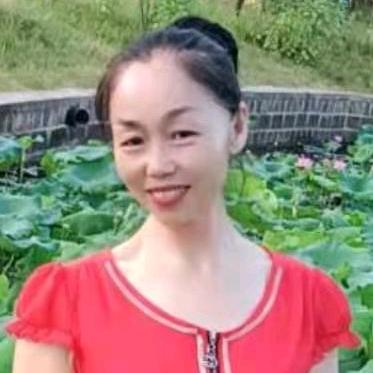 小凤凤