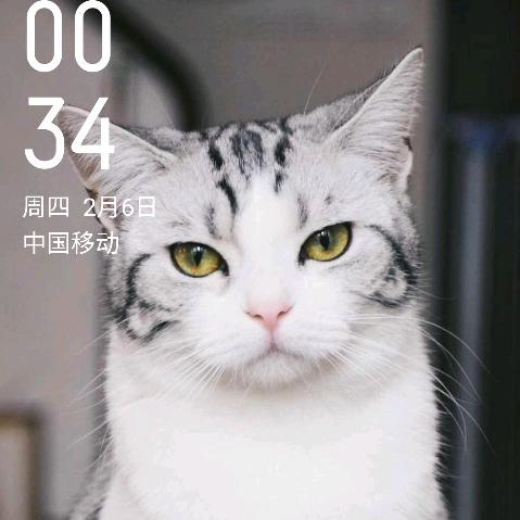 二弟