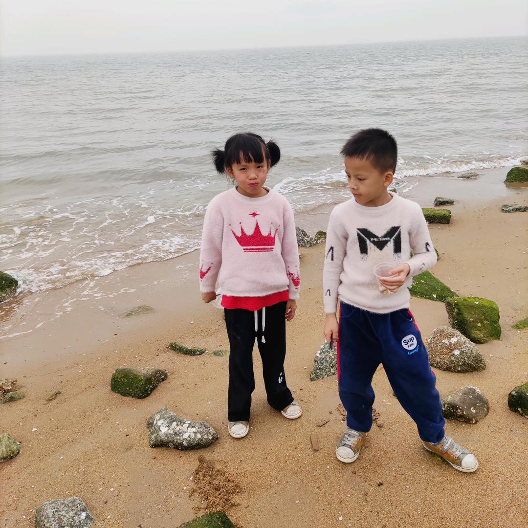 小马歌