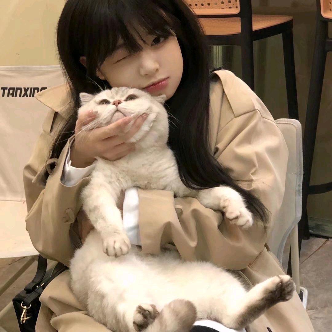 半夏半暖半倾城