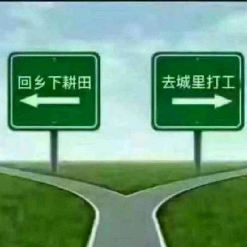 掉队蚂蚁