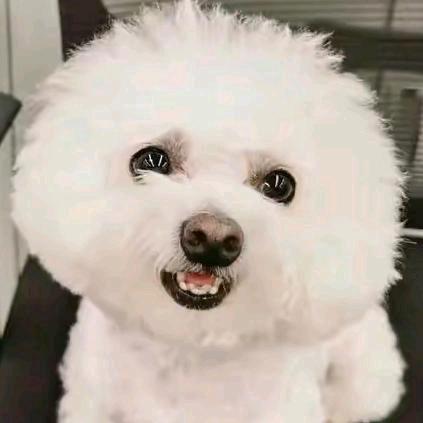 好物(精选)推荐